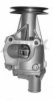 AIRTEX 1312 Water Pump